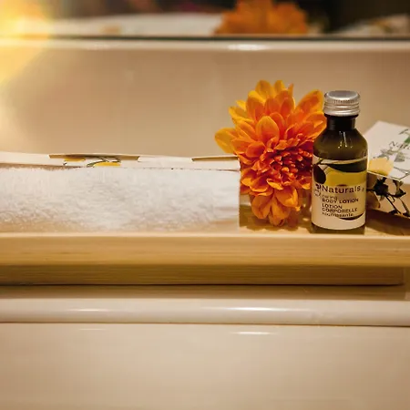 Hotel Western President Bonn