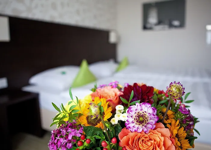 Hotell Western President Bonn