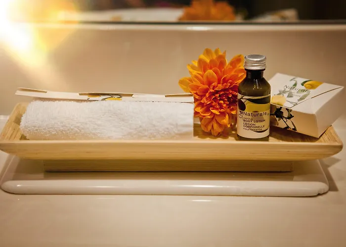 酒店 Western President 波恩