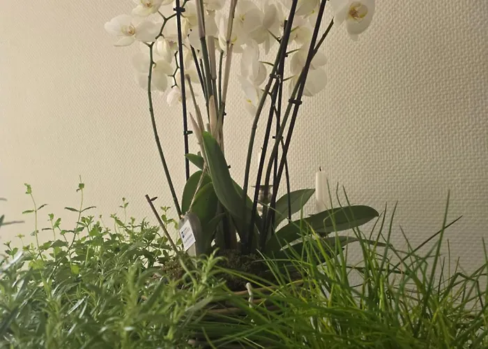 ホテル Western President ボン